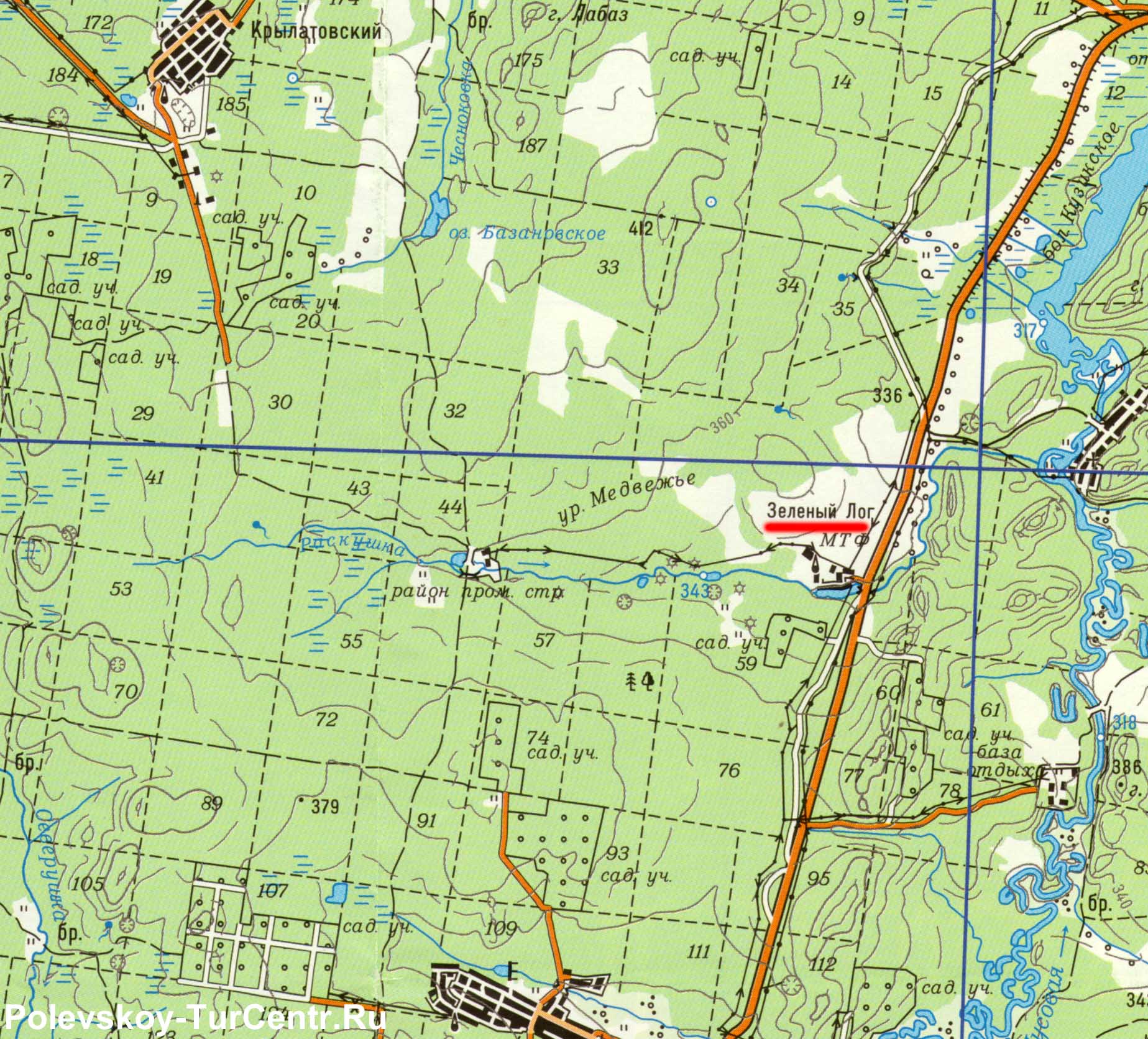 Карта посёлка Зелёный Лог с окрестностями (2010 г.)